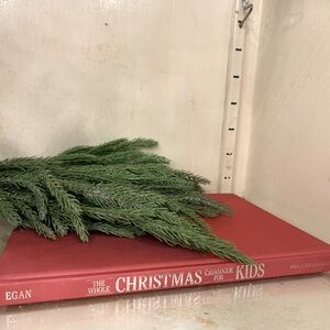 The Whole Christmas Catalogue for Kids by Louise Betts Eagan